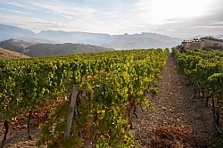 Villa Casale Leto Villa Casale Leto