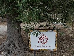 Principe Di Aragona Principe Di Aragona