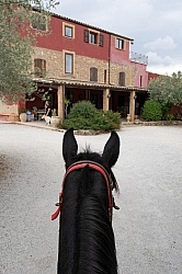 Principe Di Aragona Principe Di Aragona