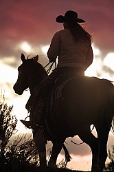 Trail Riding Western