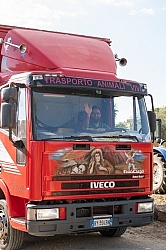 The Horse Trailer Leaving