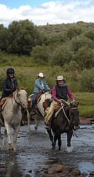Blue Sky Sage Water Crossings on The Trail