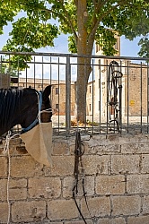 Picnic Lunch on the Trail