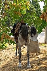 Picnic Lunch on the Trail