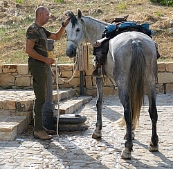 Gimmy Watering a Horse at Lunch on the Trail