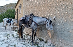 Picnic Lunch on the Trail
