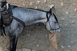Picnic Lunch on the Trail