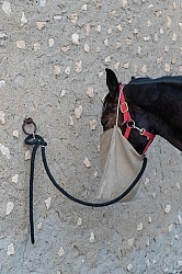 Picnic Lunch on the Trail