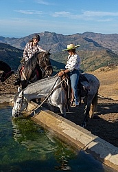 Watering the Horses