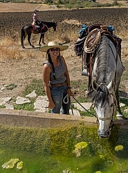 Watering the Horses