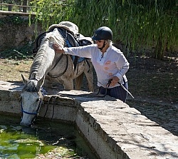 Watering the Horses on the Trail