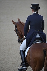 Dressage Close Up