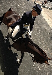 Dressage from Above