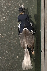 Dressage from Above