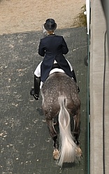 Dressage from Above