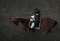 Dressage from Above
