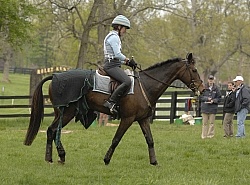The Vet Box Rolex 2008 