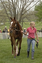 Cooling down in the Vet Box Rolex 2008 