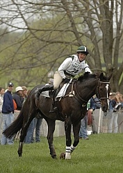 Cooling down in the Vet Box Rolex 2008 