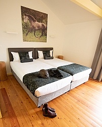 Patio Ecolodge Faial Azores