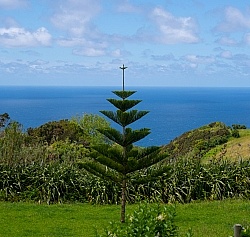 Picnic Lunch Faial Azores
