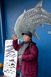 Whale Watching Azores