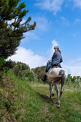 On The Trails in the Azores with Wild Women Expeditions