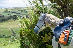 On The Trails in the Azores with Wild Women Expeditions