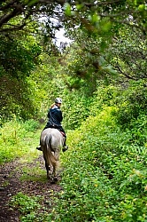 On The Trails in the Azores with Wild Women Expeditions