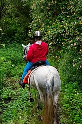 On The Trails in the Azores with Wild Women Expeditions