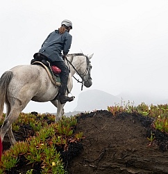 On The Trails in the Azores with Wild Women Expeditions