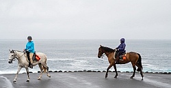 On The Trails in the Azores with Wild Women Expeditions