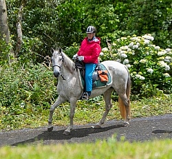 On The Trails in the Azores with Wild Women Expeditions