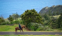 On The Trails in the Azores with Wild Women Expeditions