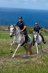 On The Trails in The Azores