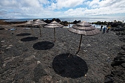 Trip to Pico Island