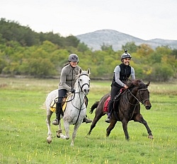 Galloping on the Trails in Croatia