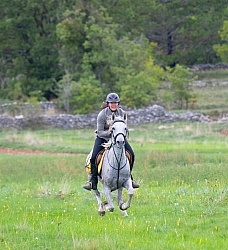 Galloping on the Trails in Croatia