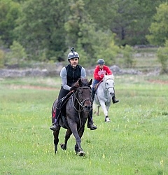 Galloping on the Trails in Croatia