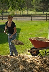 Bringing in Shavings