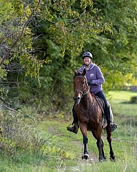 Galloping on the Trails in Croatia