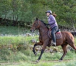 Galloping on the Trails in Croatia
