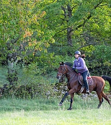 Galloping on the Trails in Croatia