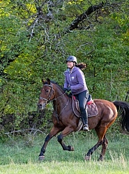Galloping on the Trails in Croatia