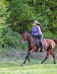 Galloping on the Trails in Croatia