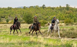 Galloping on the Trails in Croatia