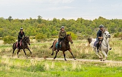 Galloping on the Trails in Croatia