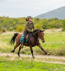 Galloping on the Trails in Croatia