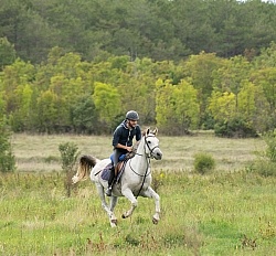 Galloping on the Trails in Croatia
