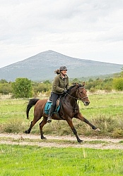 Galloping on the Trails in Croatia